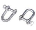 Shackle, D, Screw Pin, Steel